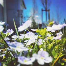 1526442_10153200348520342_8416450004921285780_n