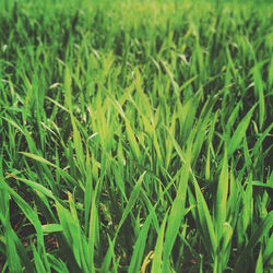 11178313_10153149351150342_2709230690151442141_n