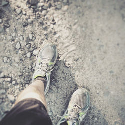 11203159_10153164431955342_4896620966467301289_n