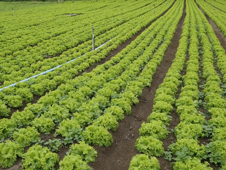 Horticulture Award and record keeping requirements