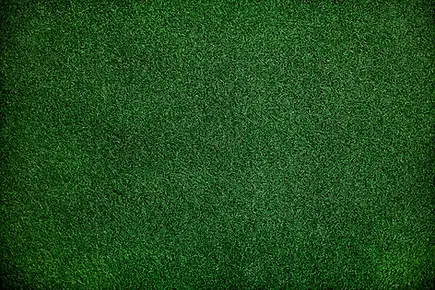 grass.webp