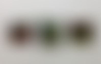 109 Nails: Group Exhibition