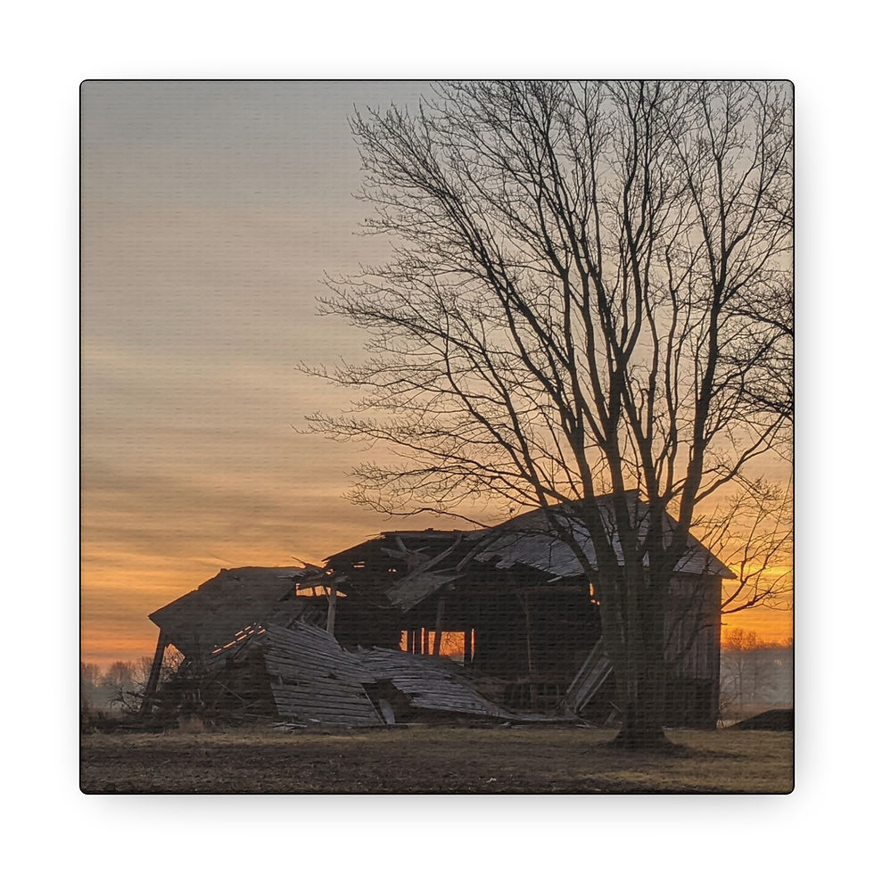Thumbnail: Canvas Gallery Wraps