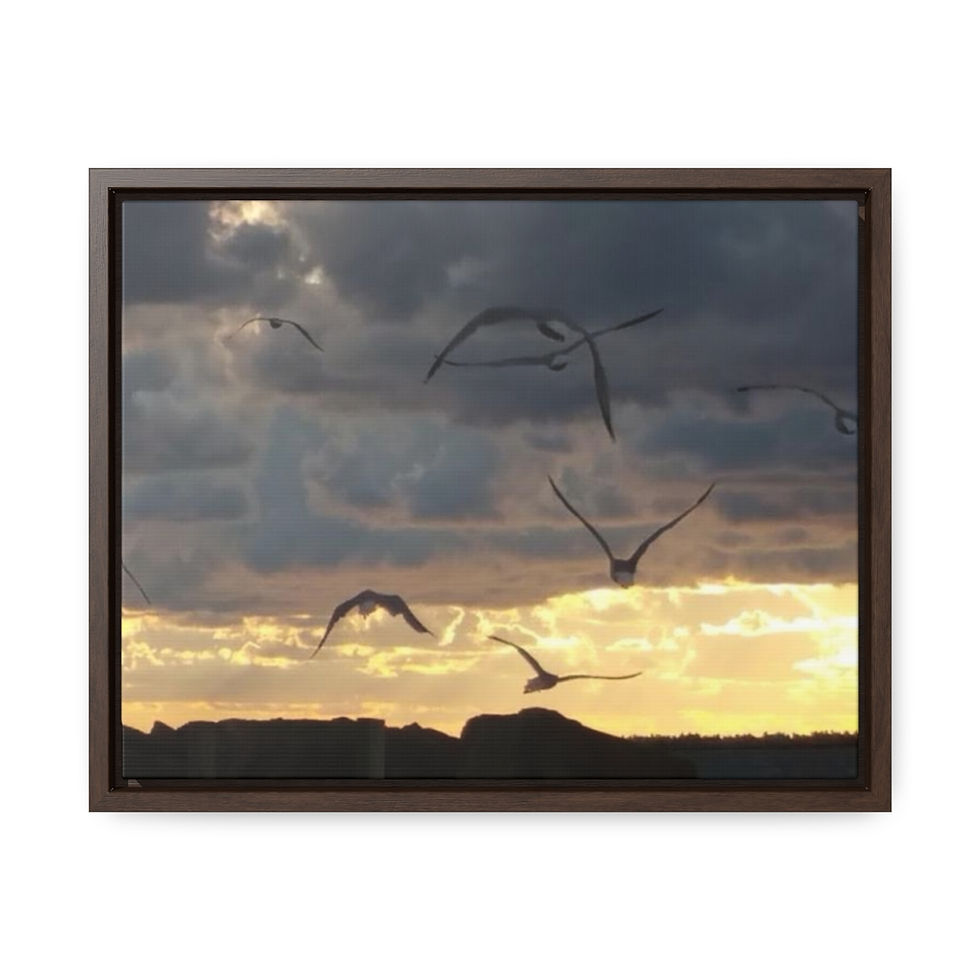 Thumbnail: Seagulls Over Lake Erie Gallery Canvas Wraps, Horizontal Frame