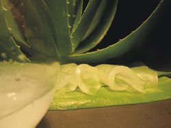 Filete molido sabila.jpg