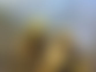 Protección Civil combate incendio en Ciudad del Maíz