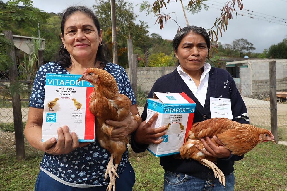 Gobierno Estatal impulsa proyecto productivo en la huasteca