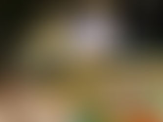 La UASLP se suma a iniciativa de urbanismo táctico para priorizar las personas peatonas en SLP capital 