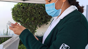 IMSS San Luis Potosí reconoce labor de más de 3 mil enfermeras y enfermeros