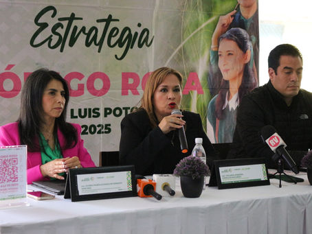 Hoteles implementan “Código Rosa” como red de apoyo para mujeres que enfrenten posibles riesgos