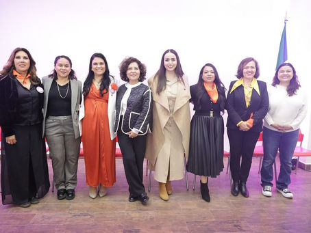 Realiza Consejo Consultivo de la IMM conferencia sobre violencia vicaria