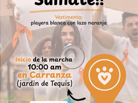 Convocan a marcha pacífica tras ataque armado contra dos perritos; exigen justicia y aprobación de la #LeyHope