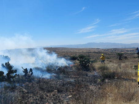 Protección Civil Estatal se mantiene en vigilancia permanente por temporada de incendios forestales