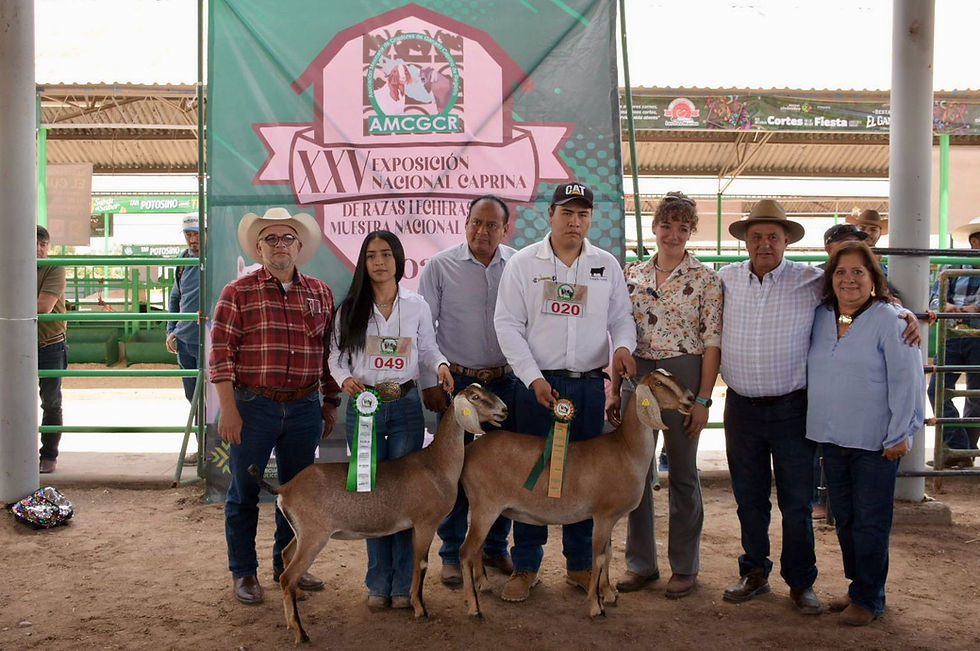 La Facultad de Agronomía y Veterinaria de la UASLP logra campeonatos en competencia nacional de cabras de leche
