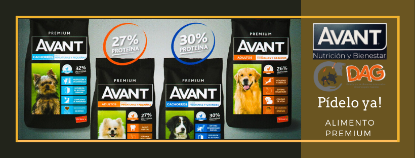 AVANT