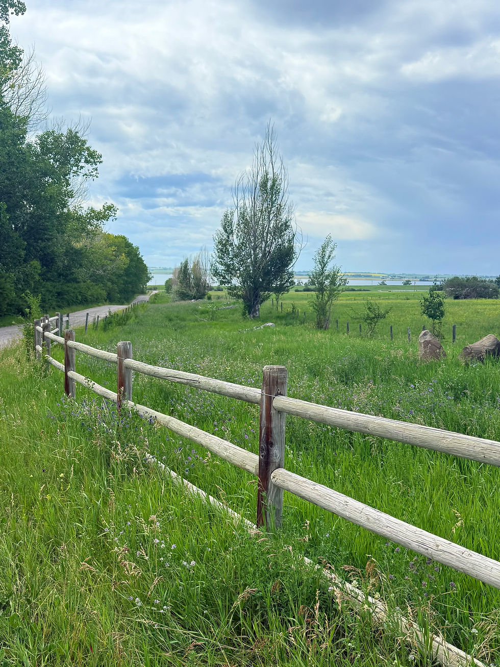 Beautiful Landscape