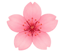 blossom_large_edited.png