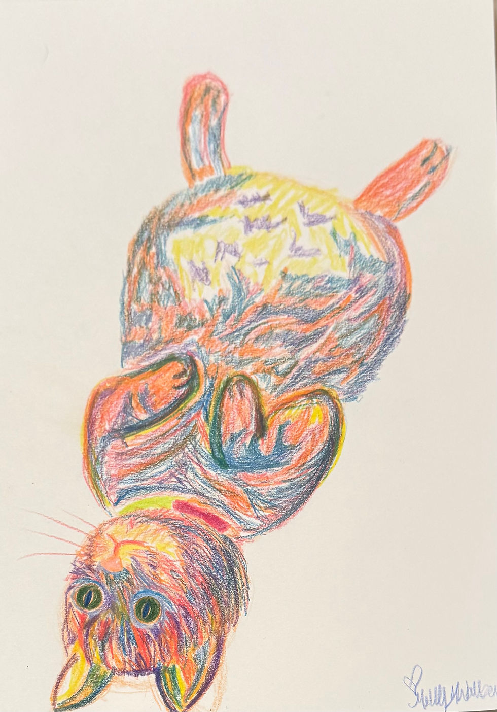 Portrait of Olive the Cat
