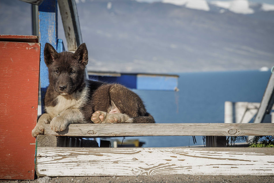Uummannaq_WKR54696_WernerKruse.jpg