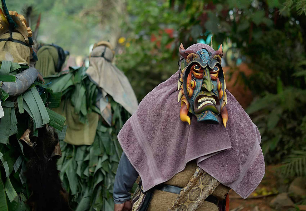 Devils, Bulls, and Weavers: A 500-Year Dance of Resilience