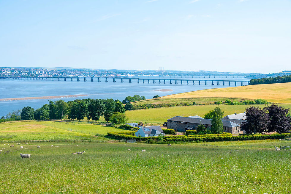 A view of Kilburns Farm with the Tay Bridge in the background. Photo: Linda Cortright