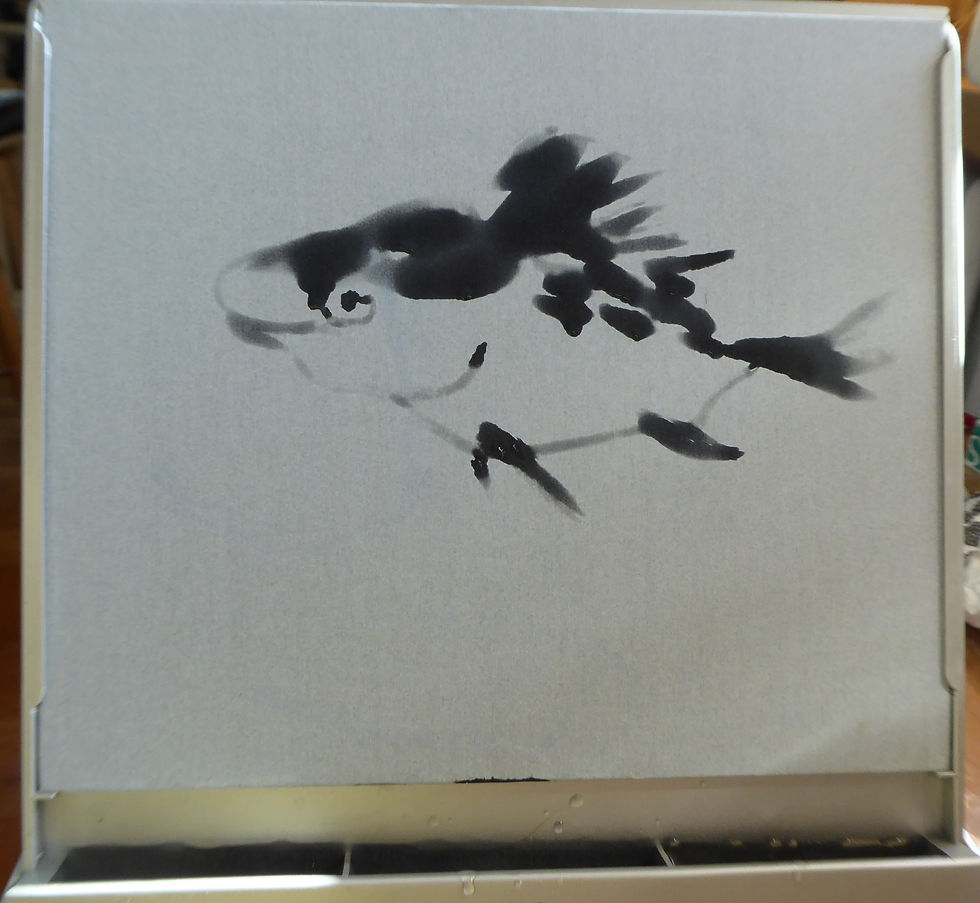 Poisson sur Buddha Board