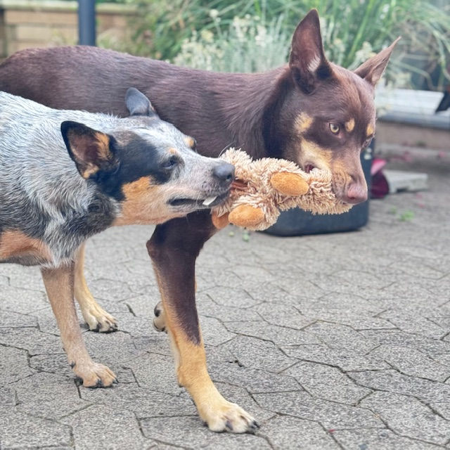Kümmern – das unterschätze Lebenselixier
