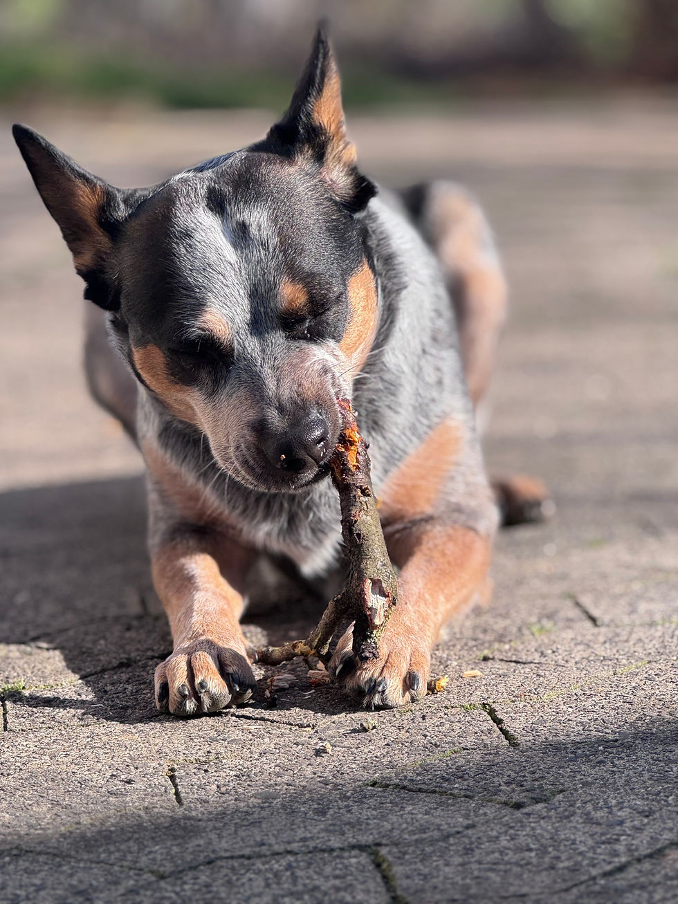 24/7 bedürfnisorientiert 