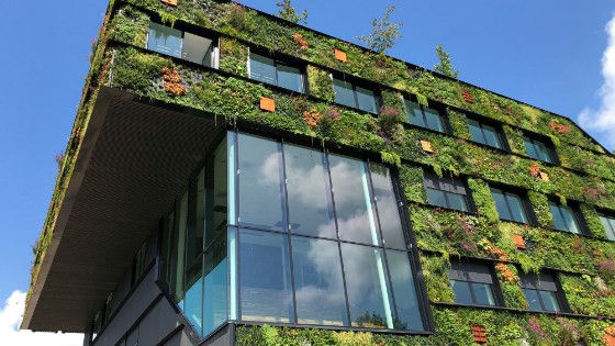 Trends in SMSF Property Investment 