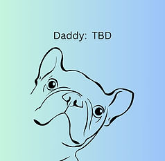 Your paragraph text (2)_edited_edited.jpg