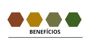 v10.09_Diversos_Helbor_Patteo_SBC-removebg-preview.png
