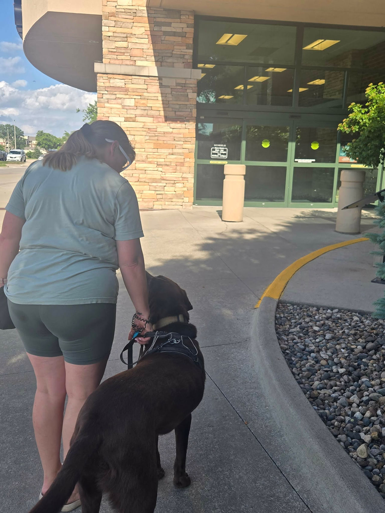 public service dog training - Zebedee at Scheels