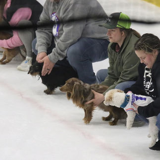 a night out with Canine Miracles for Heroes and the Des Moines Bucs
