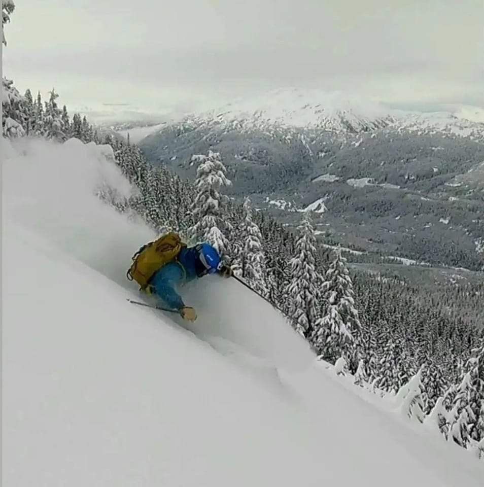 Writer: Bram Whillock