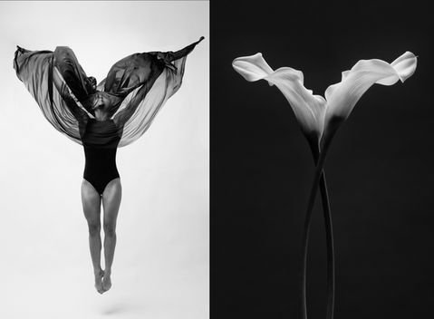 Dance_Flower collage.jpg