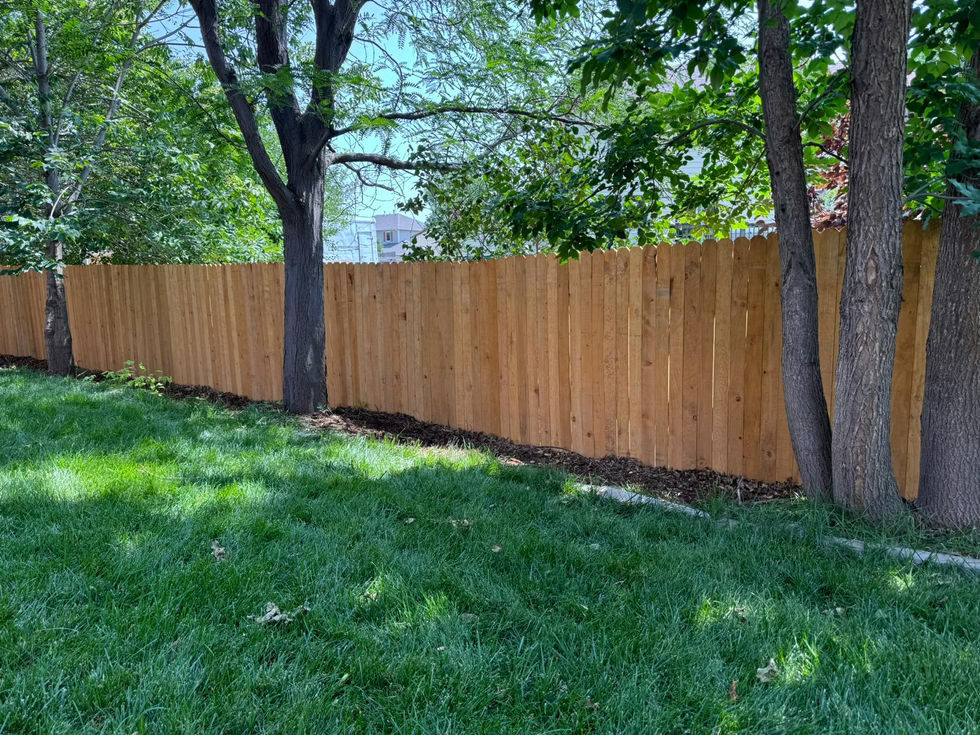 Y WhatsApp Image 2025-02-17 at 19.07.18 (1).jpeg