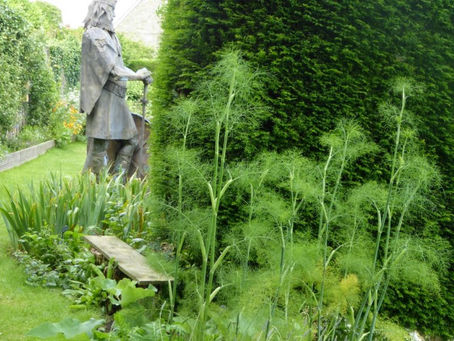 Discover the Healing Properties of Herbs at Shaftesbury Abbey