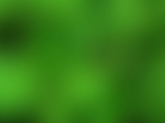 Nettle
