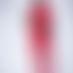 The Standard For A Reason