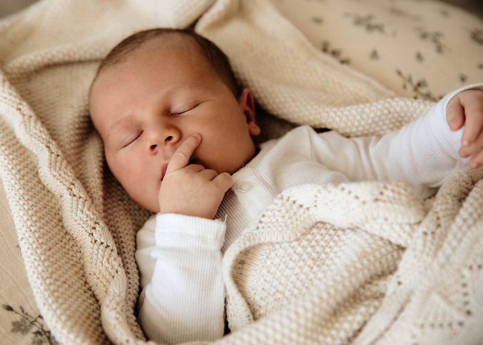 MoranFamily_Colour-22b