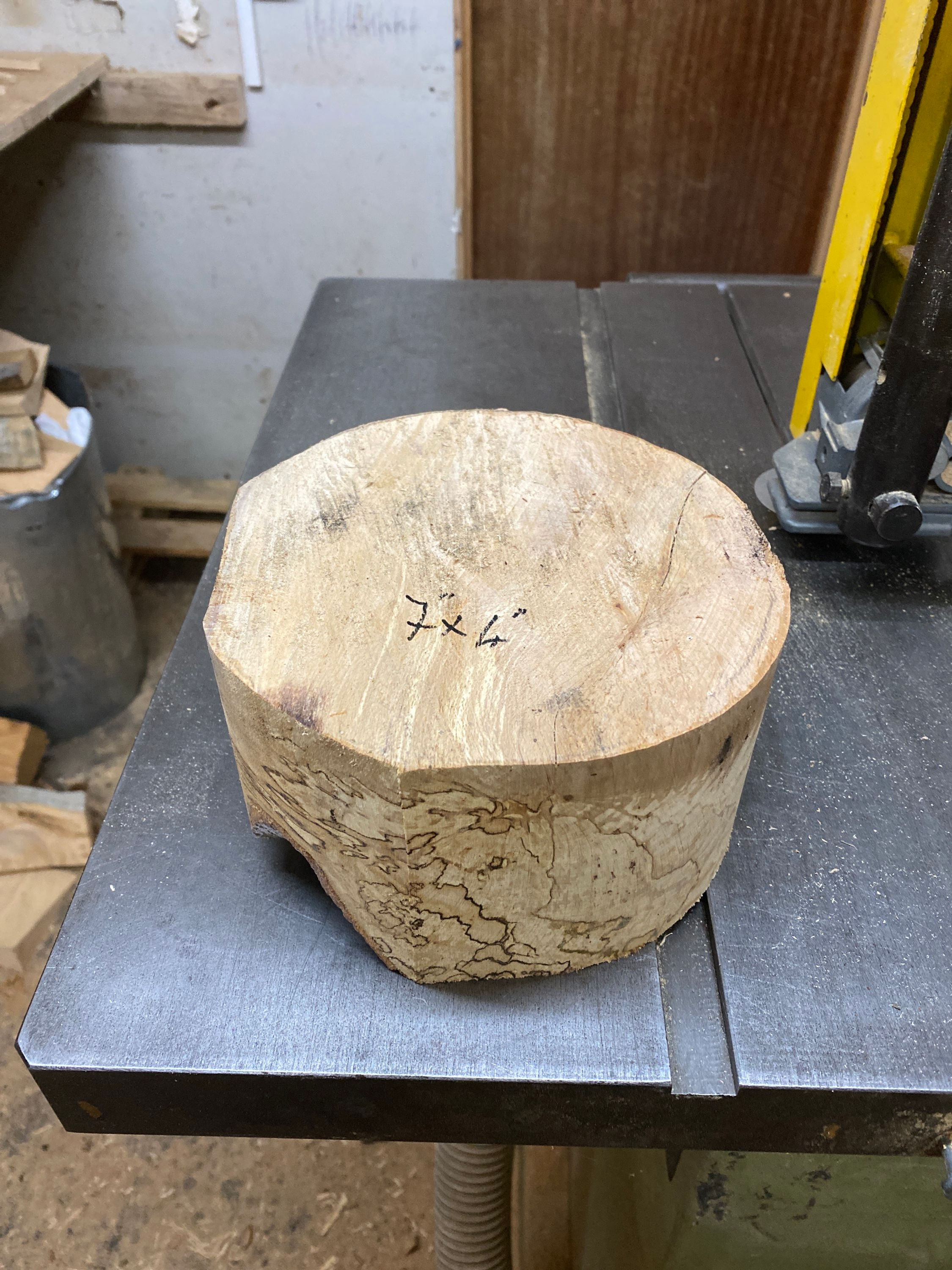 7x4 spalted beech bowl blank