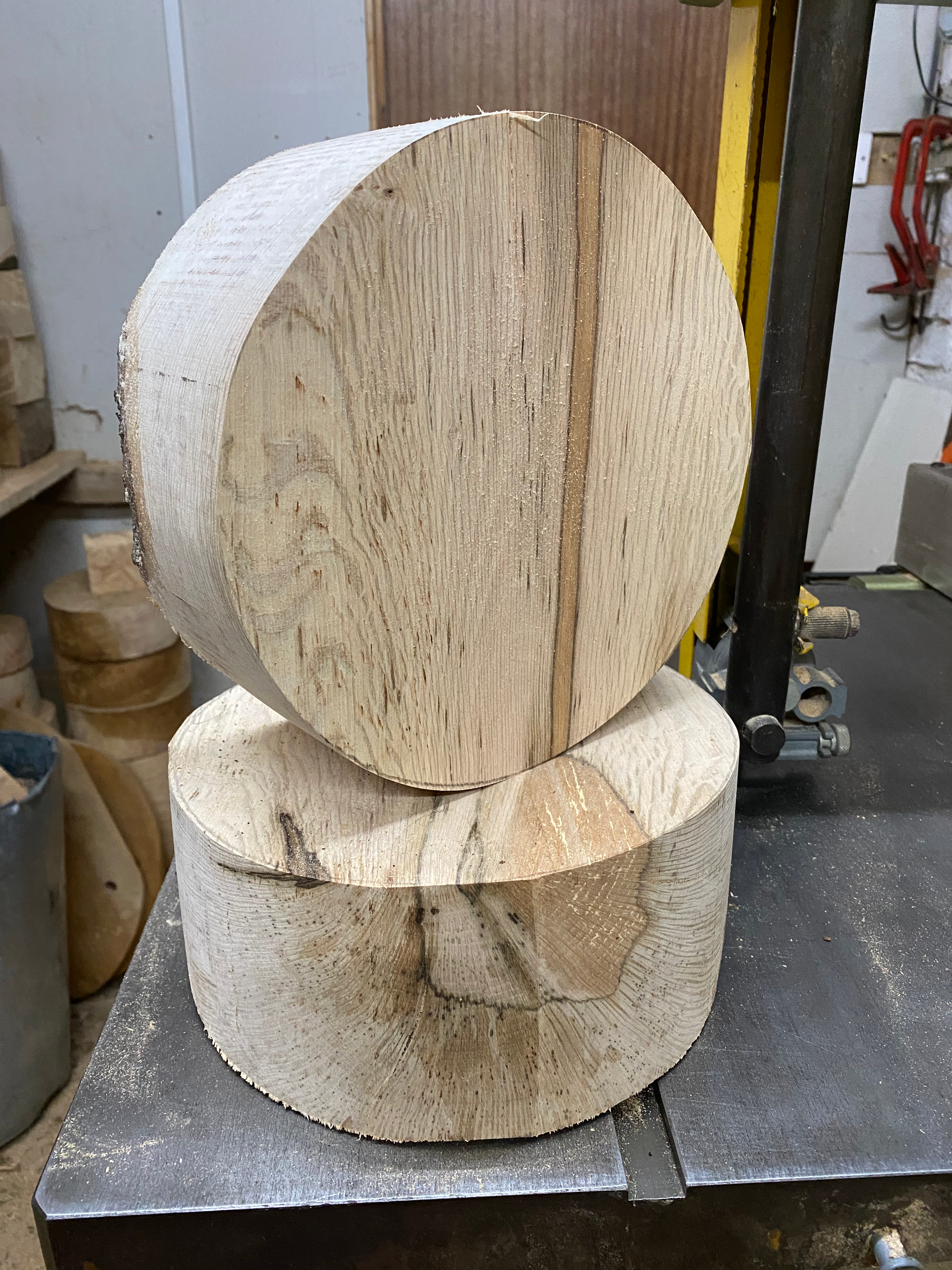 9” x 4” holm oak bowl blanks