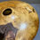 Thumbnail: Large burr oak hollow form