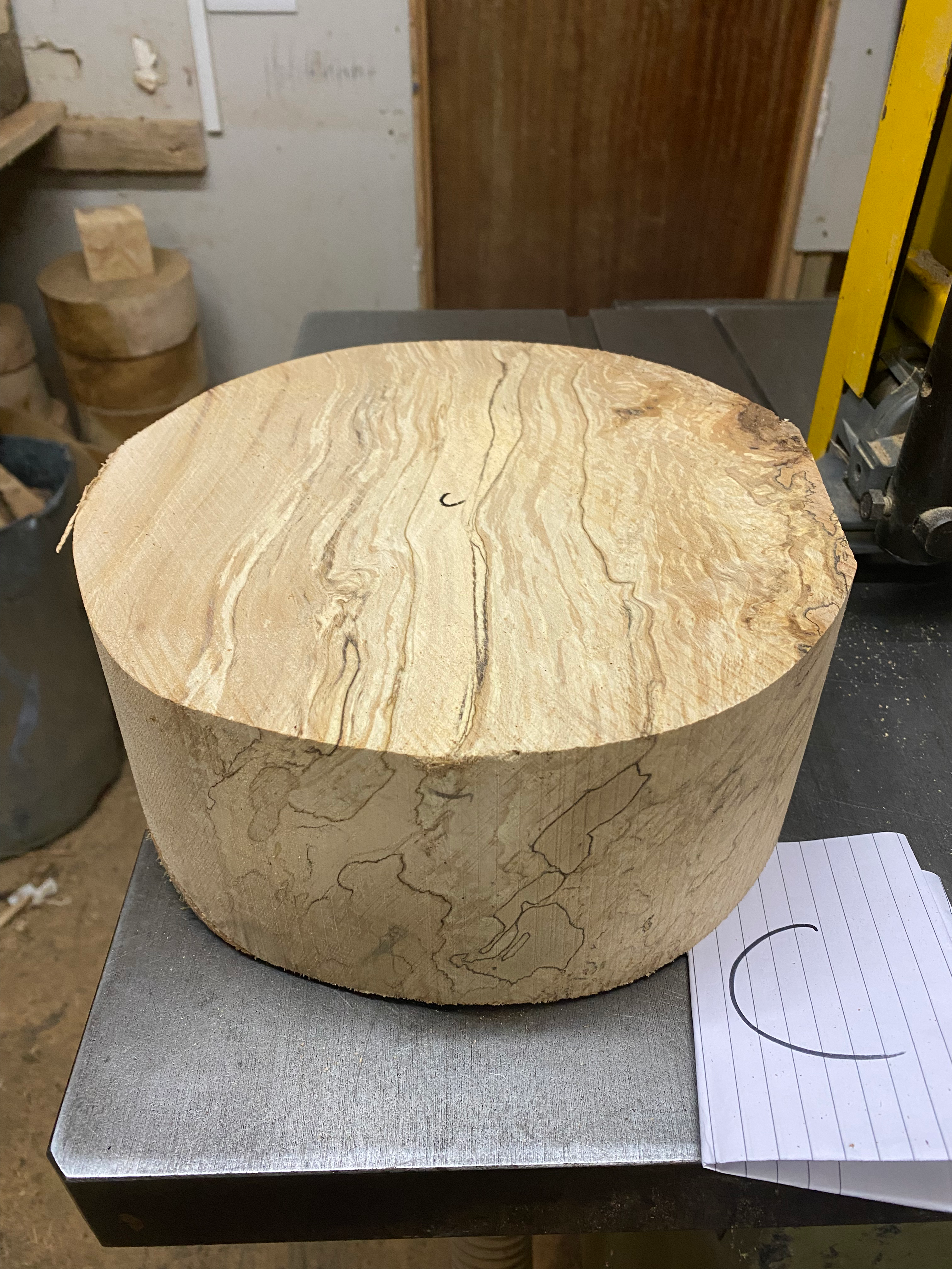 10 x 4” spalted beech 