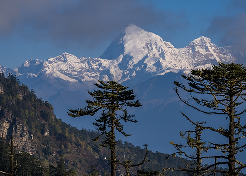 Scenic Bhutanese landscape featuring traditional dzong, terraced fields, and towering Himalayan mountains under clear skies