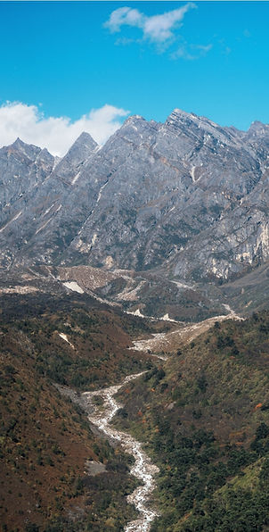 Trekking trail winding through lush forests and mountain landscapes with Bhutanese prayer flags fluttering in the breeze
