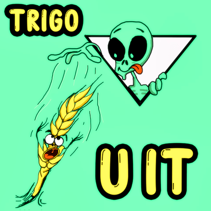 TRIGO - WHEAT - O ET copiar-min.png