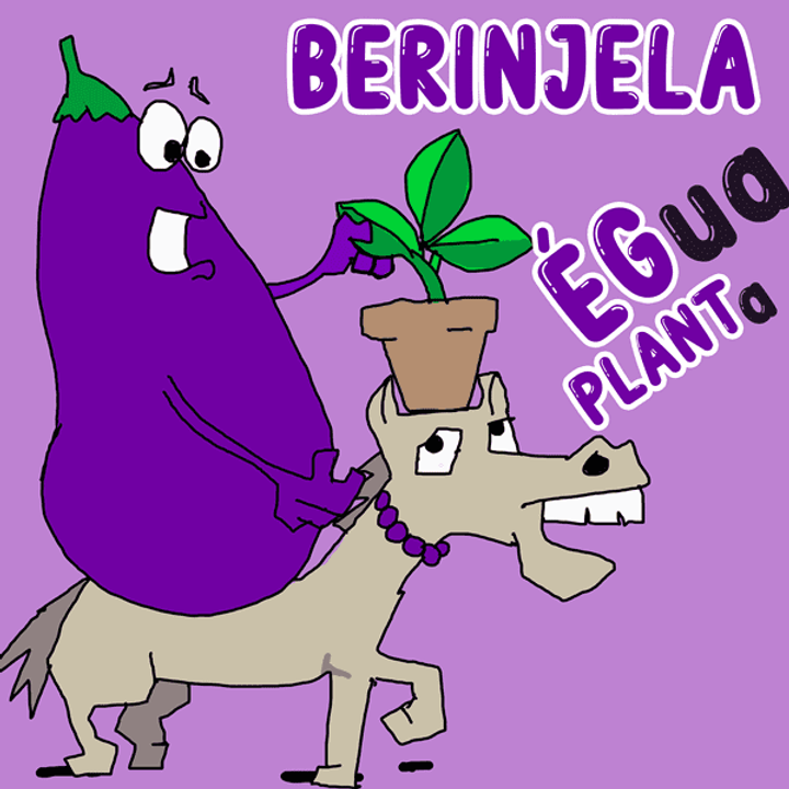 33-berinjela---Égua-planta---eggplant_optimized.png