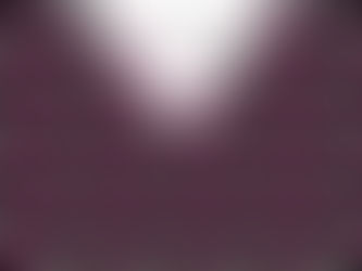 L'Etoile absinthe, Jacques Stephen Alexis