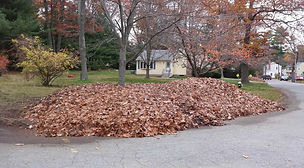 fall-clean-up.jpg